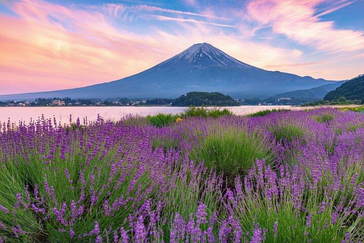 Da Tokyo Monte Fuji e Kawaguchi e Oshino Hakkai Bus Tour