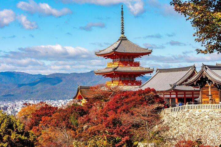 Kyoto Half Day Small Group Tour