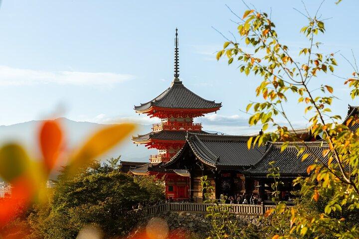 O melhor de Kyoto Tour de meio dia em grupo pequeno saindo de Osaka