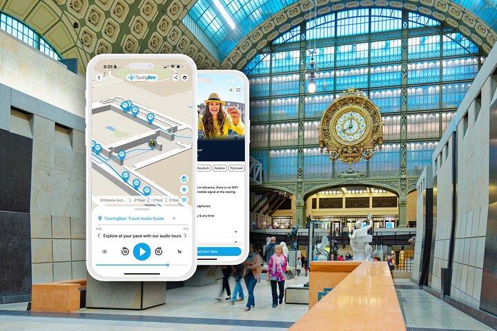 Crociera sulla Senna e Museo d'Orsay opzionale con Audio Guida