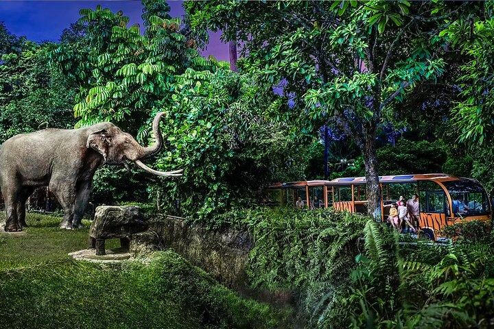 Bilhetes para Night Safari Singapore com passeio de trens