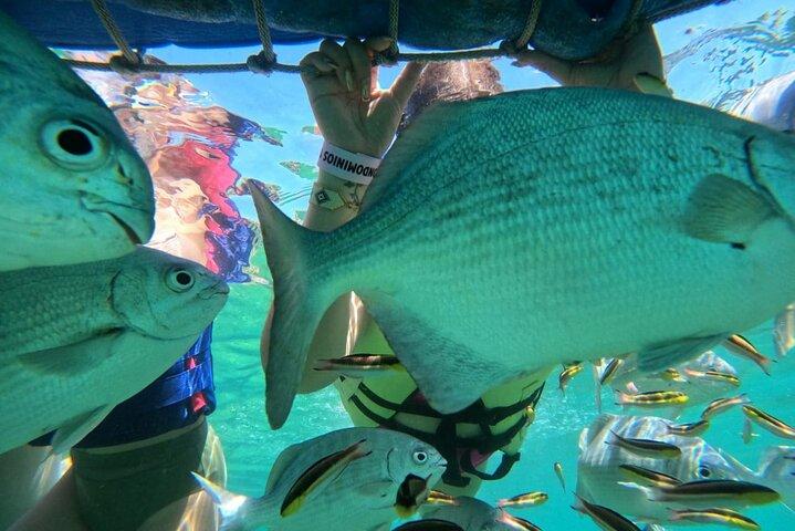 Zipline and Snorkel Adventure in Ixtapa Zihuatanejo