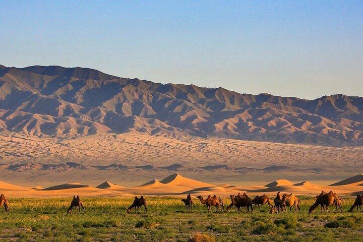 8 giorni di viaggio nel deserto del Gobi e Kharkhorin