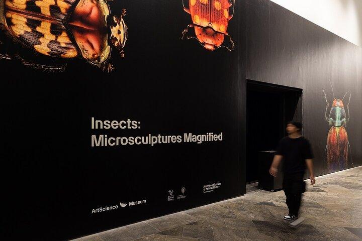 Eintrittskarte für das Singapore ArtScience Museum