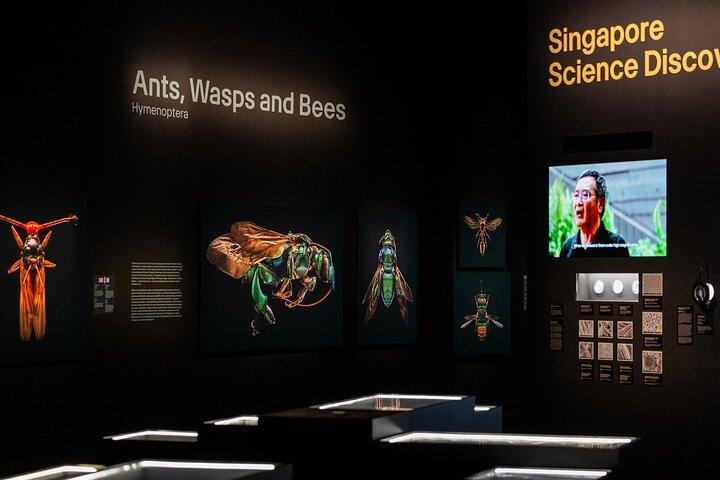 Eintrittskarte für das Singapore ArtScience Museum