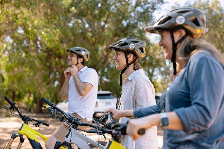 Excursão de meio dia Wadandi Track Scenic E-Bike