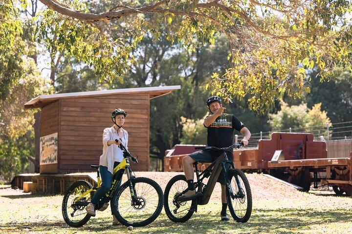 Excursão de meio dia Wadandi Track Scenic E-Bike