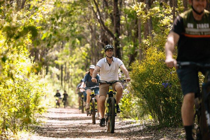 Excursão de meio dia Wadandi Track Scenic E-Bike