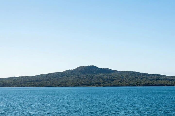 Auckland to Volcanoes: North Island Self-Guided Adventure