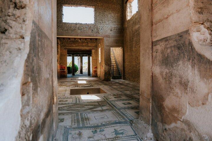 Pompeji Express Tour med Skip the Line og arkæologguide