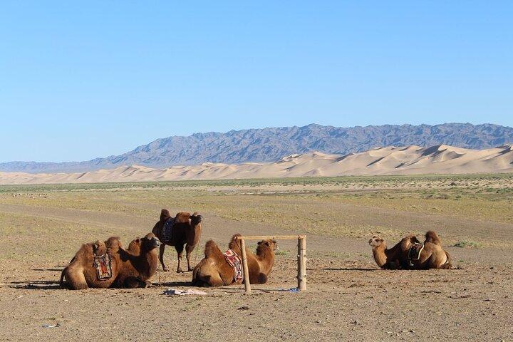 9 Días Gobi Desert Adventure Cultura Naturaleza y Vida Nómada