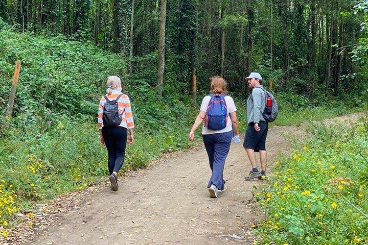 Privéwandeling van een halve dag in het natuurpark Sintra-Cascais