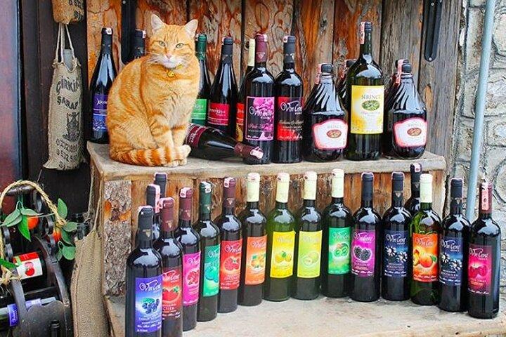 Sirince Village Tour met kleine groep vanuit Kusadasi Port Cruisers Only