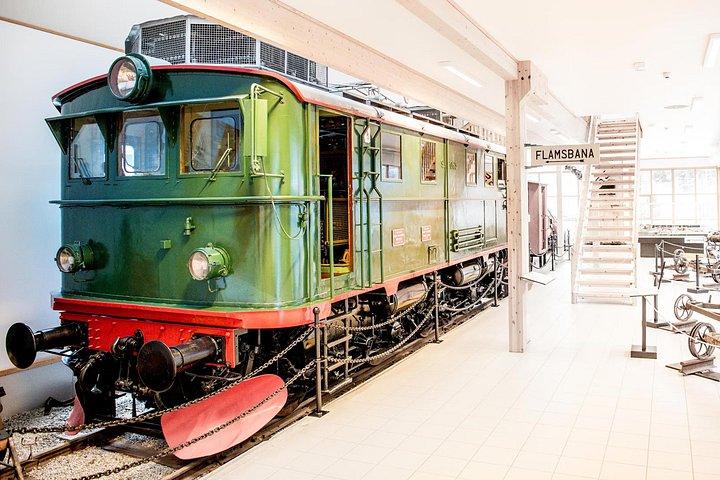 ベルゲン：伝説のフレム鉄道とランチ付きユネスコ・フィヨルドクルーズ