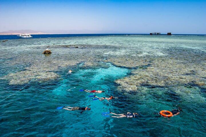 Charm El Cheikh : Croisière sur l'île Blanche et Ras Mohammed avec déjeuner