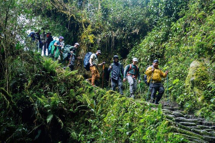 Short Inca Trail 2 Day Hike to Machu Picchu com Permissões e Comboio