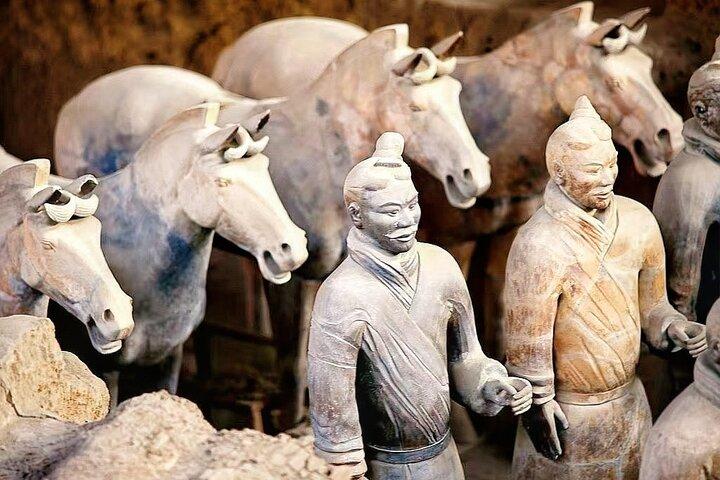 Xi'an : Visite tout compris de l'armée de terre cuite avec déjeuner en famille