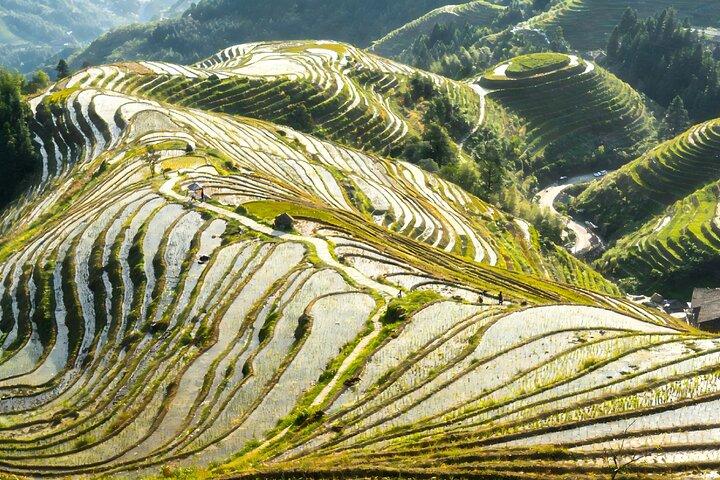 Excursion privée de 2 jours sur les essences de Guilin: rizière de Longji et croisière à Yangshuo