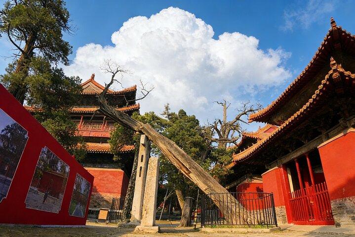 宿泊施設付き曲阜と泰山への2日間のheng州新幹線旅行
