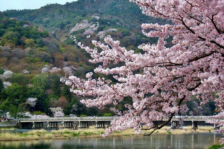 Kyoto : Arashiyama UNESCO-Rundgang mit Eintritt