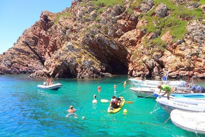 Excursão de um dia às Ilhas Berlengas saindo de Lisboa: Cavernas de barco e natureza
