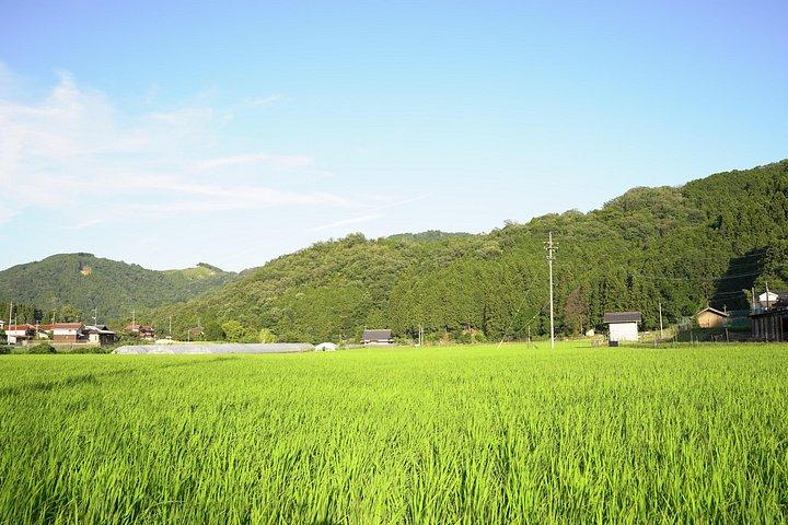 Hiroshima Garden to Table Cooking Class