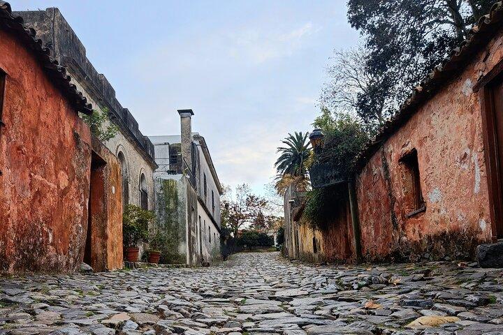 Mate Experience+Old Town walking tour in Colonia del Sacramento