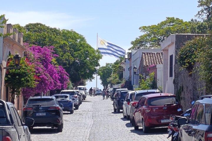Mate Experience+Old Town walking tour in Colonia del Sacramento