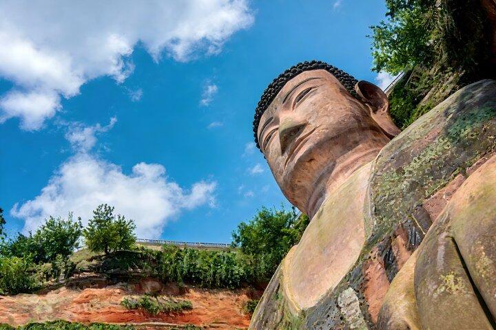 Private Tagestour von Shanghai nach Chengdu mit dem Flugzeug: Leshan Giant Buddha und Pandas