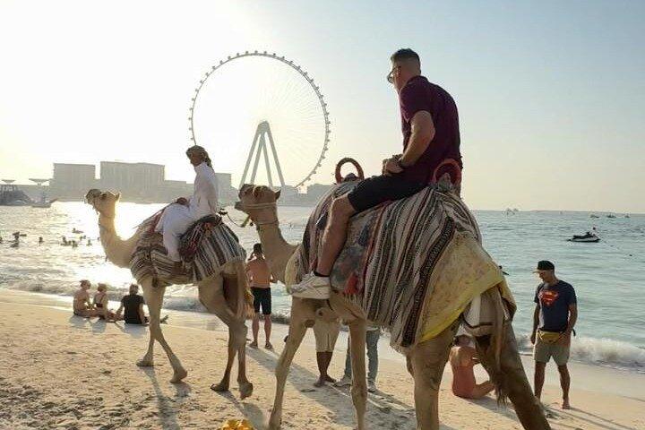 Camel Ride Along JBR Beach com vistas de Dubai