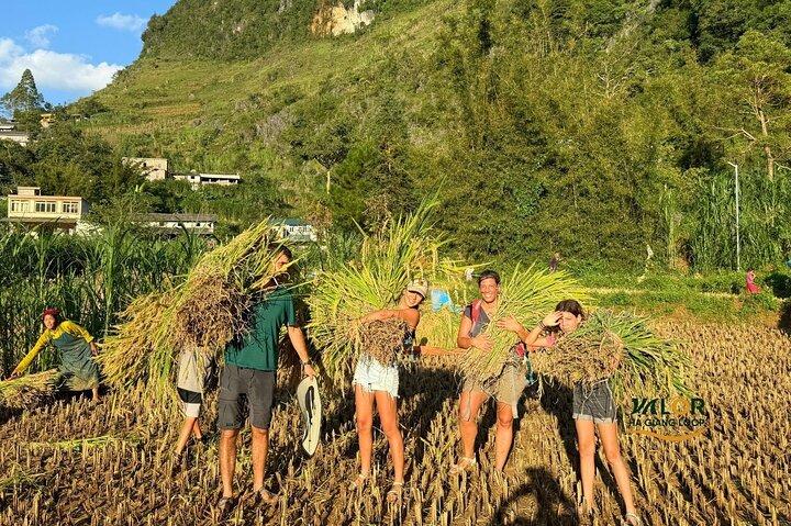 Ha Giang Loop : 3 - Dia Pequeno Grupo de Hanoi (All Inclusive)