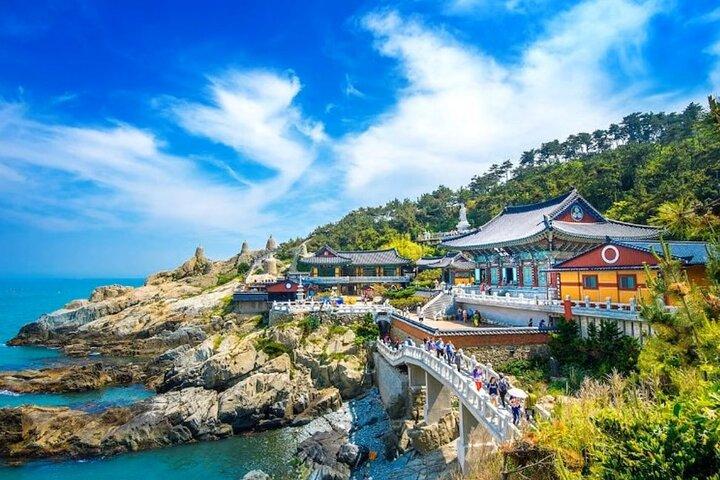Hoogtepunten van Busan & gezellige lokale privétour met gelicentieerde Gids