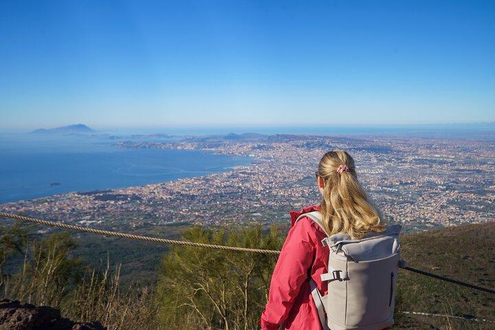 Excursão de dia inteiro por Pompeia e Vesúvio a partir de Sorrento
