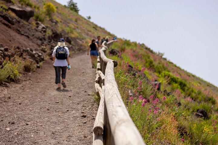 Excursão de dia inteiro por Pompeia e Vesúvio a partir de Sorrento