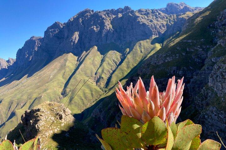 Jonkershoek Panorama Guided Hike Stellenbosch Mountains