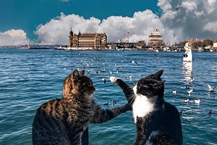 Walking Tour in Istanbul with Audio and Written Guide Balat&Asia