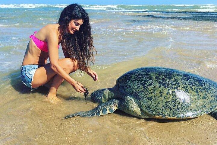スリランカ南海岸日帰りツアー-ベントタ、ヒッカドゥワ、ゴール