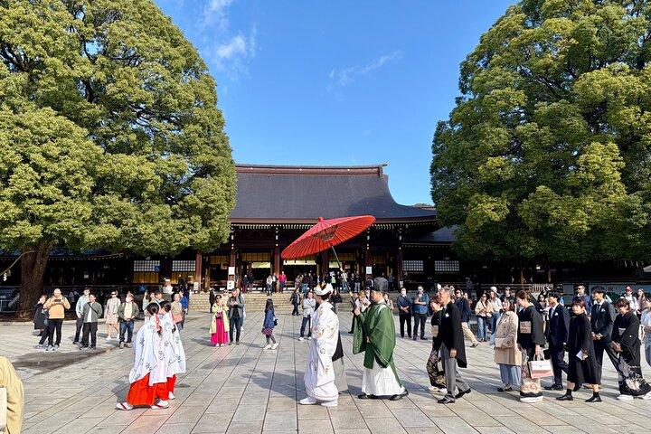 Tokyo Private Custom Tour by Car & Guide: Tsukiji, Asakusa & More