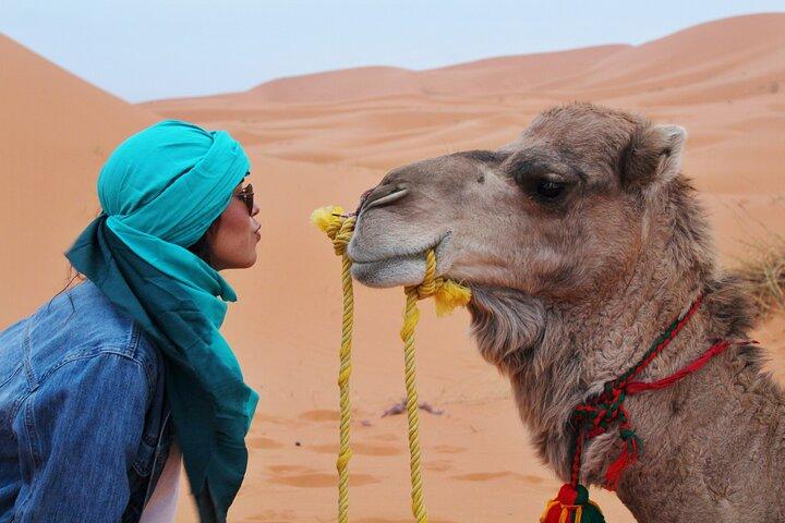 Marrakech : agaFay desert everything is included ( full package)