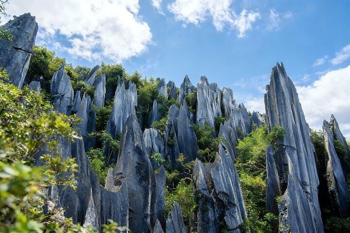 Découverte privée du Yunnan de 5 jours au départ de Chengdu: Kunming, Dali, Shaxi et Lijiang