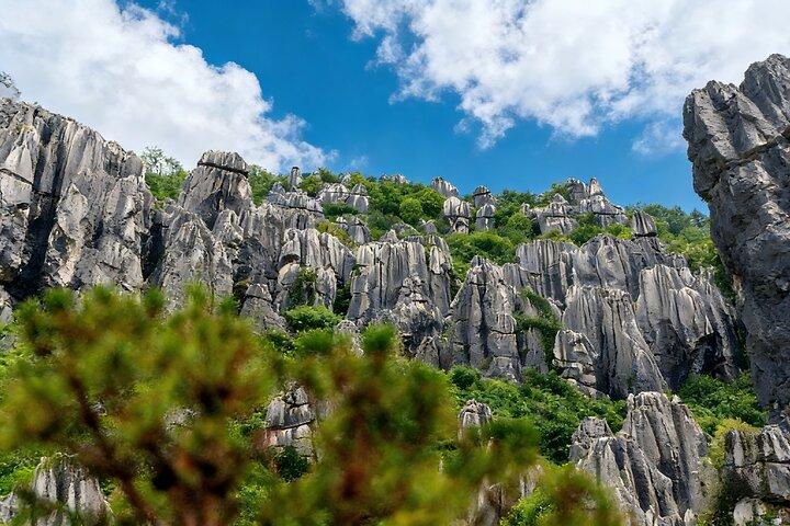 Tour Privado do Parque Geológico Stone Forest em Kunming