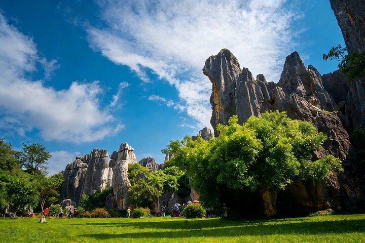 Privat rundtur i Stone Forest Geological Park i Kunming