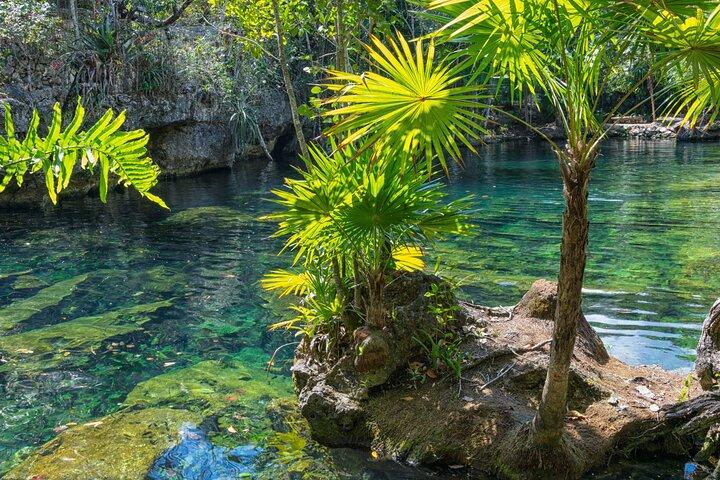Tulum Private Cenotes Trio - Open, Semi Open and Cave experience