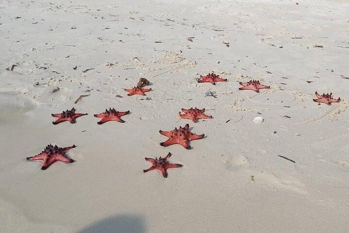 Tour privato dell'isola di North Phu Quoc: natura e vita locale