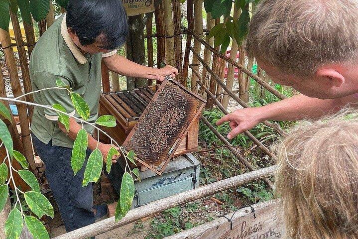 North Phu Quoc Descoberto: Tour Privado de Natureza e Vida Local