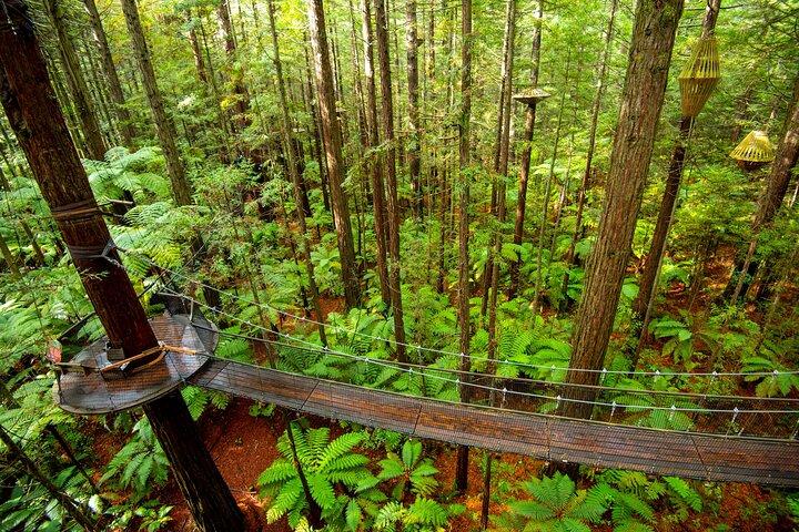 Rotorua Geothermal Wonders – 7h Private Landtour ab Tauranga