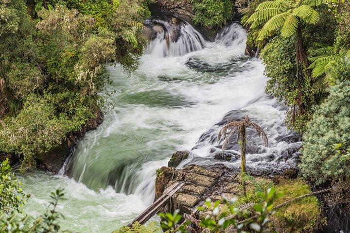 Rotorua Geothermal Wonders – 7h Private Landtour ab Tauranga