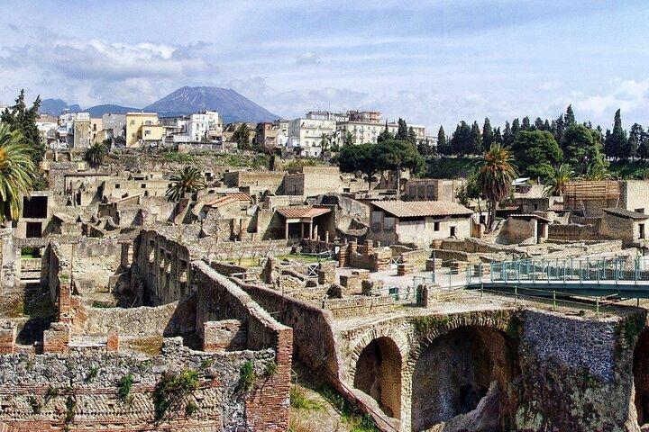 Sorrento : Pompeii, Herculaneum, Vesuvius wijnproeverij en lunch