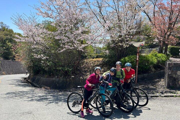 Aventure privée à vélo électrique dans les collines d'Osaka