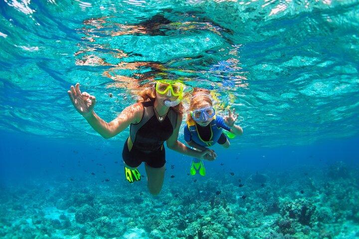 Hotéis em West Oahu Afternoon Turtle Snorkel Sail
